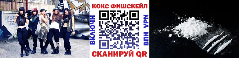закладка  Губкин  hydra онион  Cocaine Fish Scale 