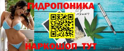a pvp Балашиха