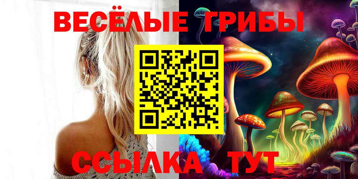 Галлюциногенные грибы Magic Shrooms  Губкин 