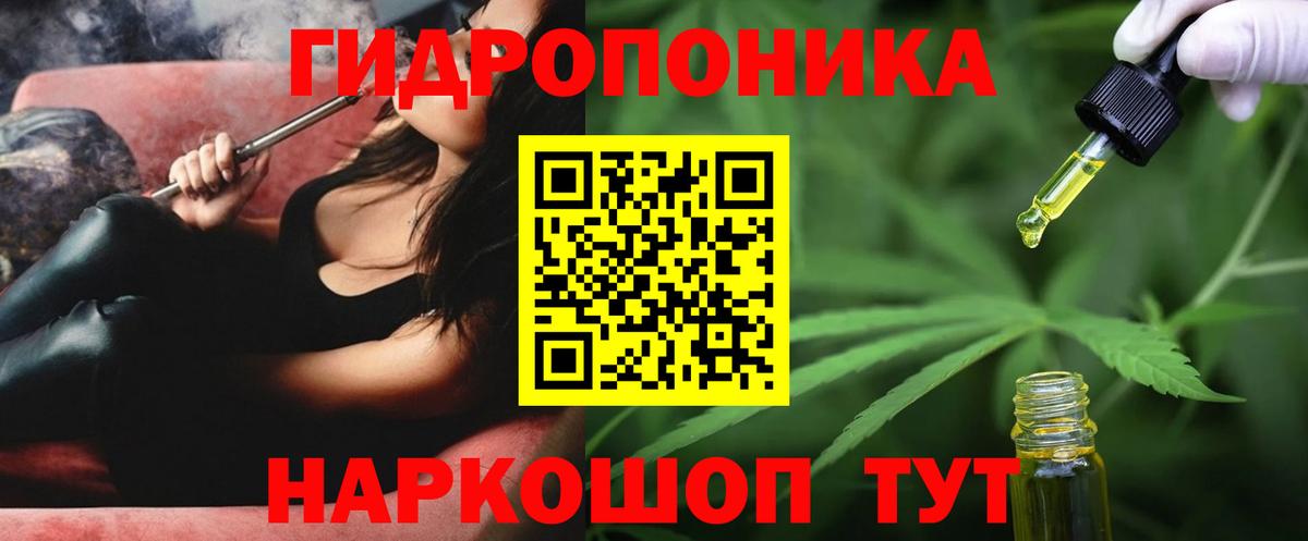 Губкин  Шишки марихуана OG Kush  Вход с VPN  МАРИХУАНА сатива  Конопля ГИДРОПОН  Канабис сатива 